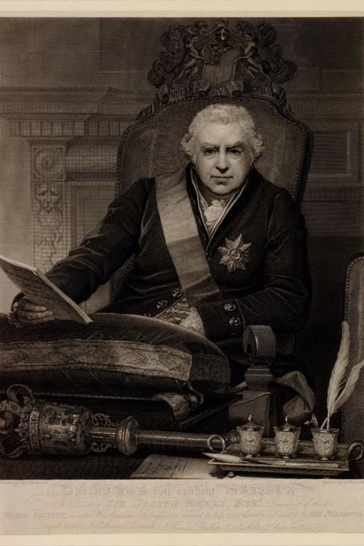 Painting of Sir Joseph Banks