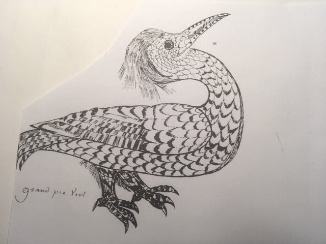 Sketch of Pileated Woodpecker